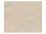 298 Light Beige PU
